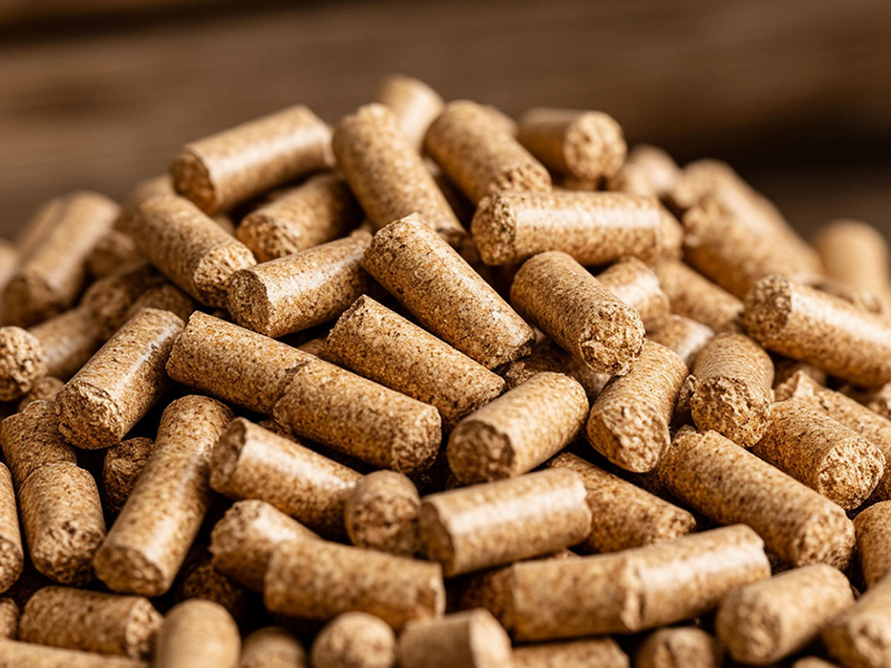 Выбор и хранение топлива – основа основ